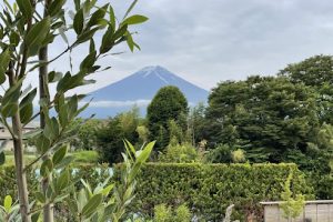 眠りの森 – 富士河口湖町